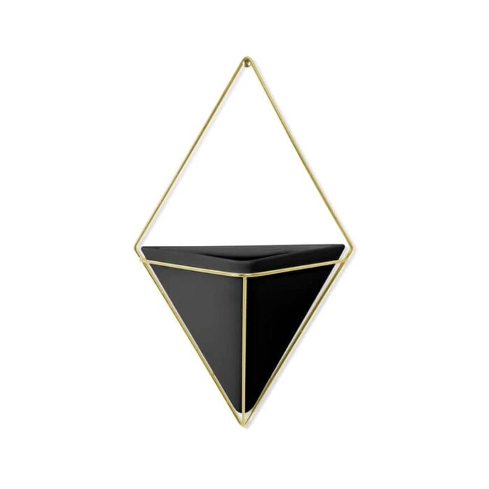 Umbra - Trigg Wall Display - Black Brass - Large